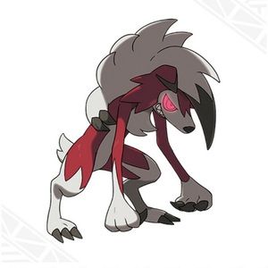 Meet your Posher, Chewy